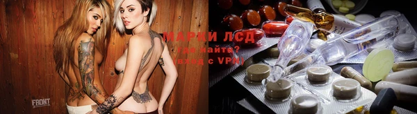 прущий лед Новозыбков
