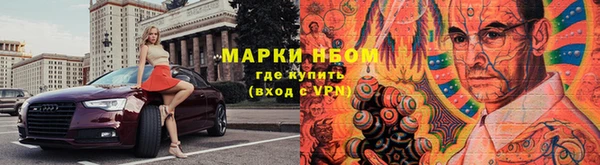 прущий лед Новозыбков