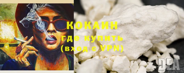 прущий лед Новозыбков