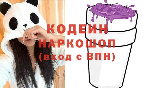 прущий лед Новозыбков